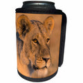 3dRose Danita Delimont - Lions - Botswana. Savuti. Female lion portrait. - Can Cooler Bottle Wrap (cc_256847)