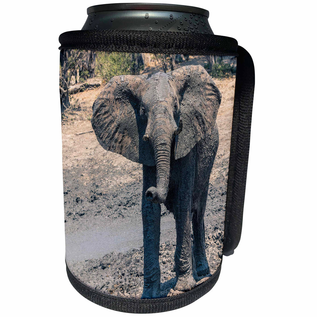 3dRose Danita Delimont - Elephants - Botswana. Savuti. Elephants at a mud hole. - Can Cooler Bottle Wrap (cc_256848)