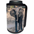 3dRose Danita Delimont - Elephants - Botswana. Savuti. Elephants at a mud hole. - Can Cooler Bottle Wrap (cc_256848)