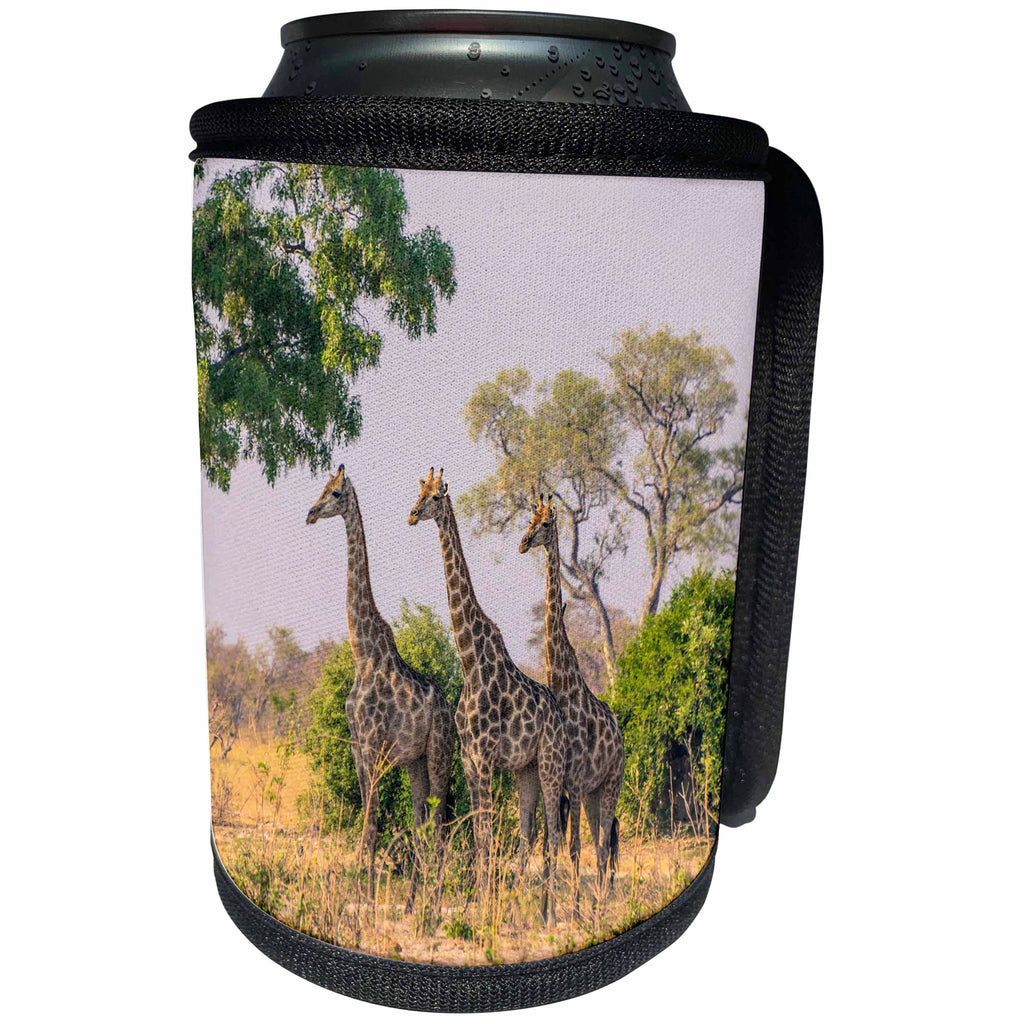 3dRose Danita Delimont - Giraffes - Botswana. Three Giraffes in the Savannah. - Can Cooler Bottle Wrap (cc_256849)