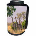 3dRose Danita Delimont - Giraffes - Botswana. Three Giraffes in the Savannah. - Can Cooler Bottle Wrap (cc_256849)