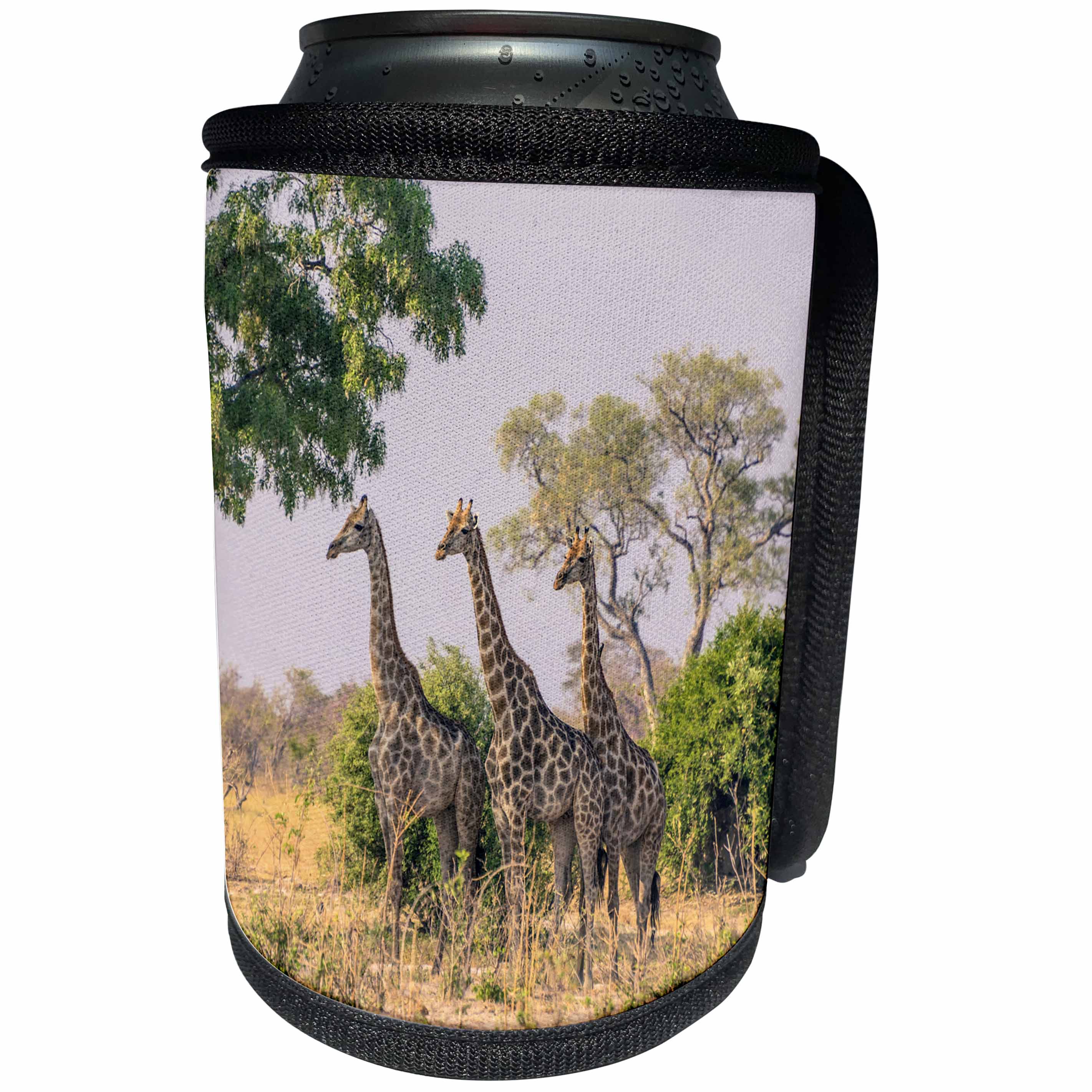 3dRose Danita Delimont - Giraffes - Botswana. Three Giraffes in the Savannah. - Can Cooler Bottle Wrap (cc_256849)