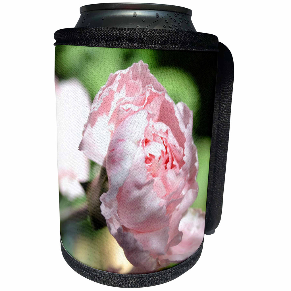 3dRose Patricia Sanders Flowers - Pink Carnation Flower - Can Cooler Bottle Wrap (cc_25685)