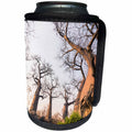 3dRose Danita Delimont - Trees - Botswana. Savuti. Baobab trees with gnarled branches. - Can Cooler Bottle Wrap (cc_256856)