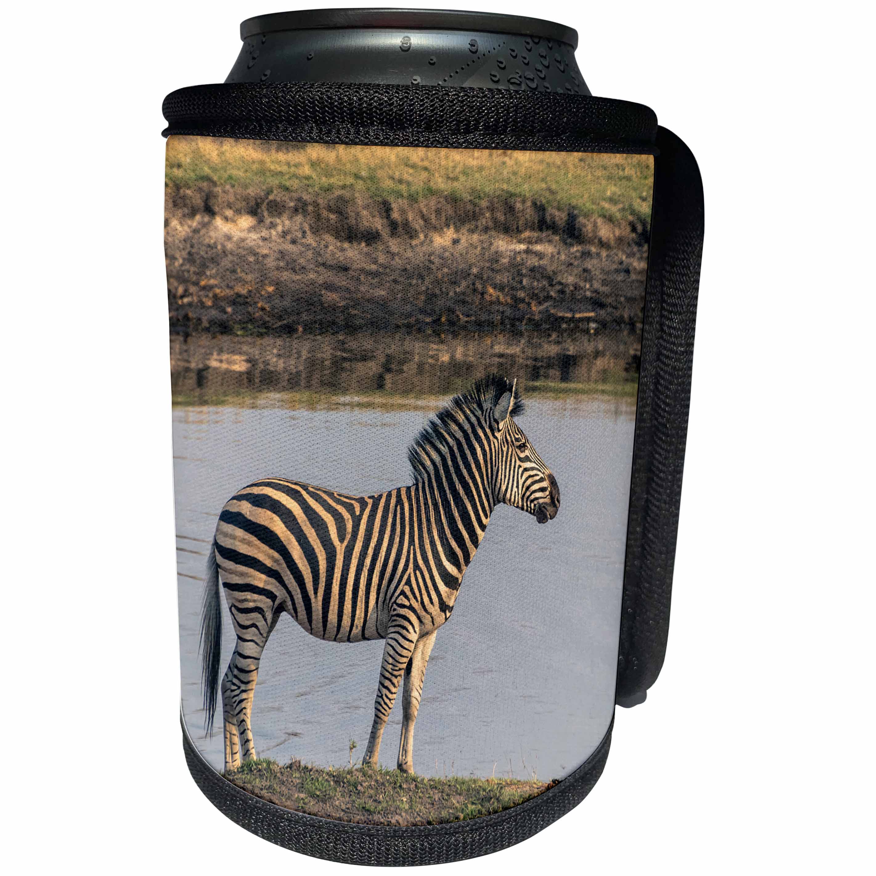 3dRose Danita Delimont - Zebras - Botswana. Keeping a watch out for crocodiles in the river. - Can Cooler Bottle Wrap (cc_256858)
