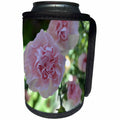 3dRose Patricia Sanders Flowers - Pink Carnations Floral - Can Cooler Bottle Wrap (cc_25686)