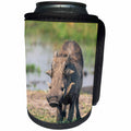 3dRose Danita Delimont - Warthogs - Botswana. Okavango Delta. Common warthog grazing. - Can Cooler Bottle Wrap (cc_256862)