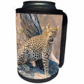 3dRose Danita Delimont - Leopard - Botswana. Okavango Delta. Khwai Concession. Leopard on a fallen log. - Can Cooler Bottle Wrap (cc_256863)