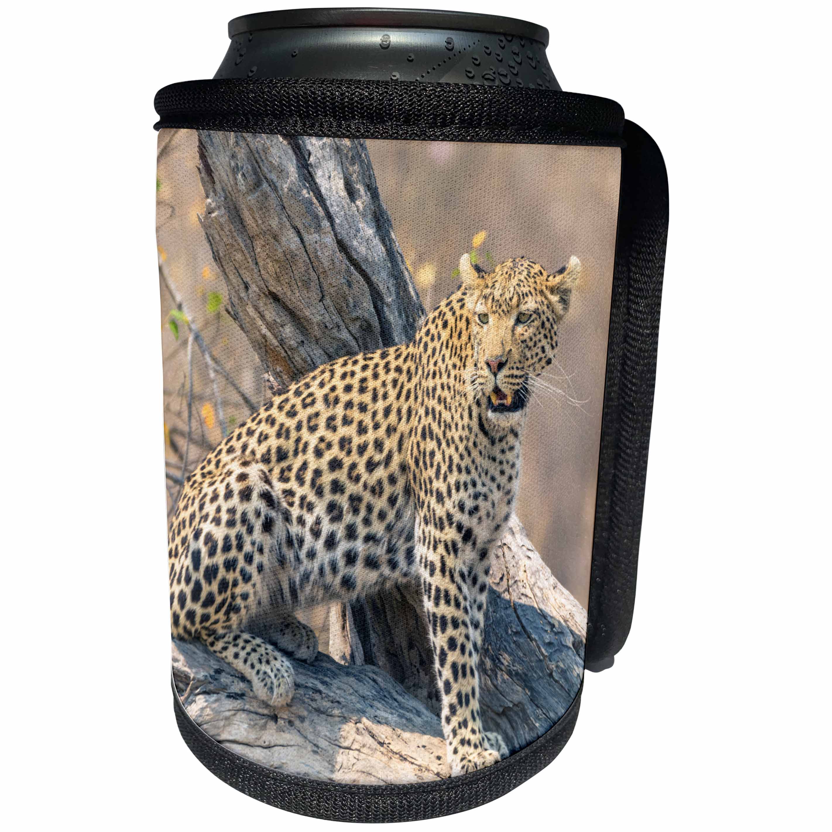 3dRose Danita Delimont - Leopard - Botswana. Okavango Delta. Khwai Concession. Leopard on a fallen log. - Can Cooler Bottle Wrap (cc_256863)