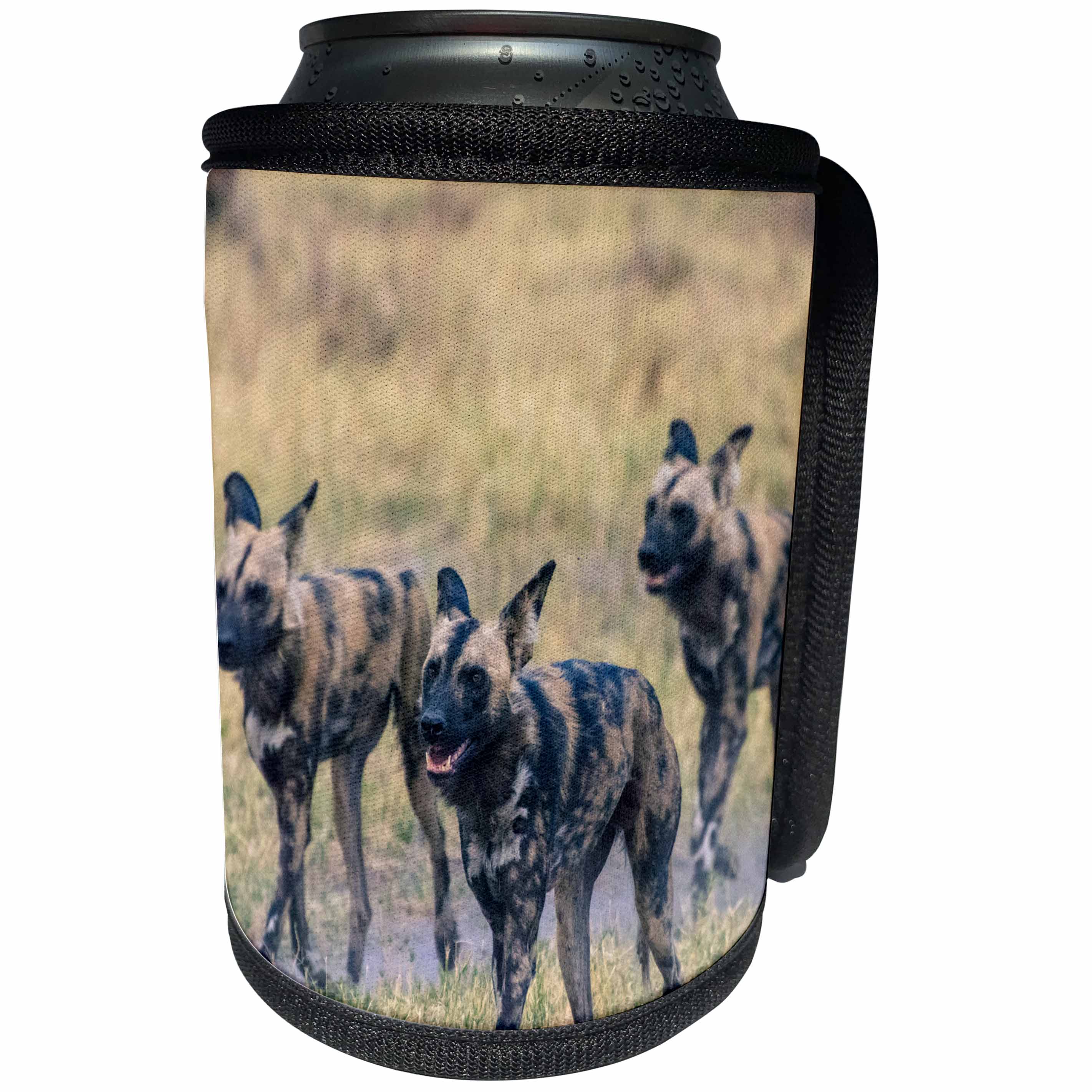 3dRose Danita Delimont - Wild Dogs - Botswana. Okavango Delta. Khwai Concession. Pack of African wild dogs. - Can Cooler Bottle Wrap (cc_256864)