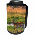 3dRose Danita Delimont - Antelope - Botswana. Okavango Delta. Khwai Concession. Red lechwe, Kobus leche. - Can Cooler Bottle Wrap (cc_256865)