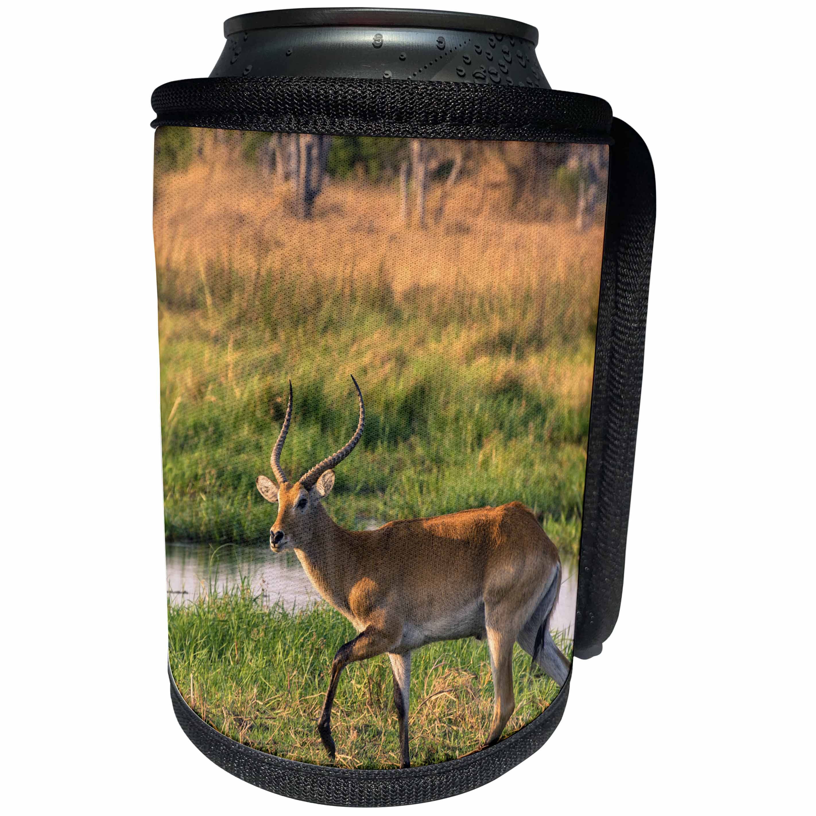 3dRose Danita Delimont - Antelope - Botswana. Okavango Delta. Khwai Concession. Red lechwe, Kobus leche. - Can Cooler Bottle Wrap (cc_256865)