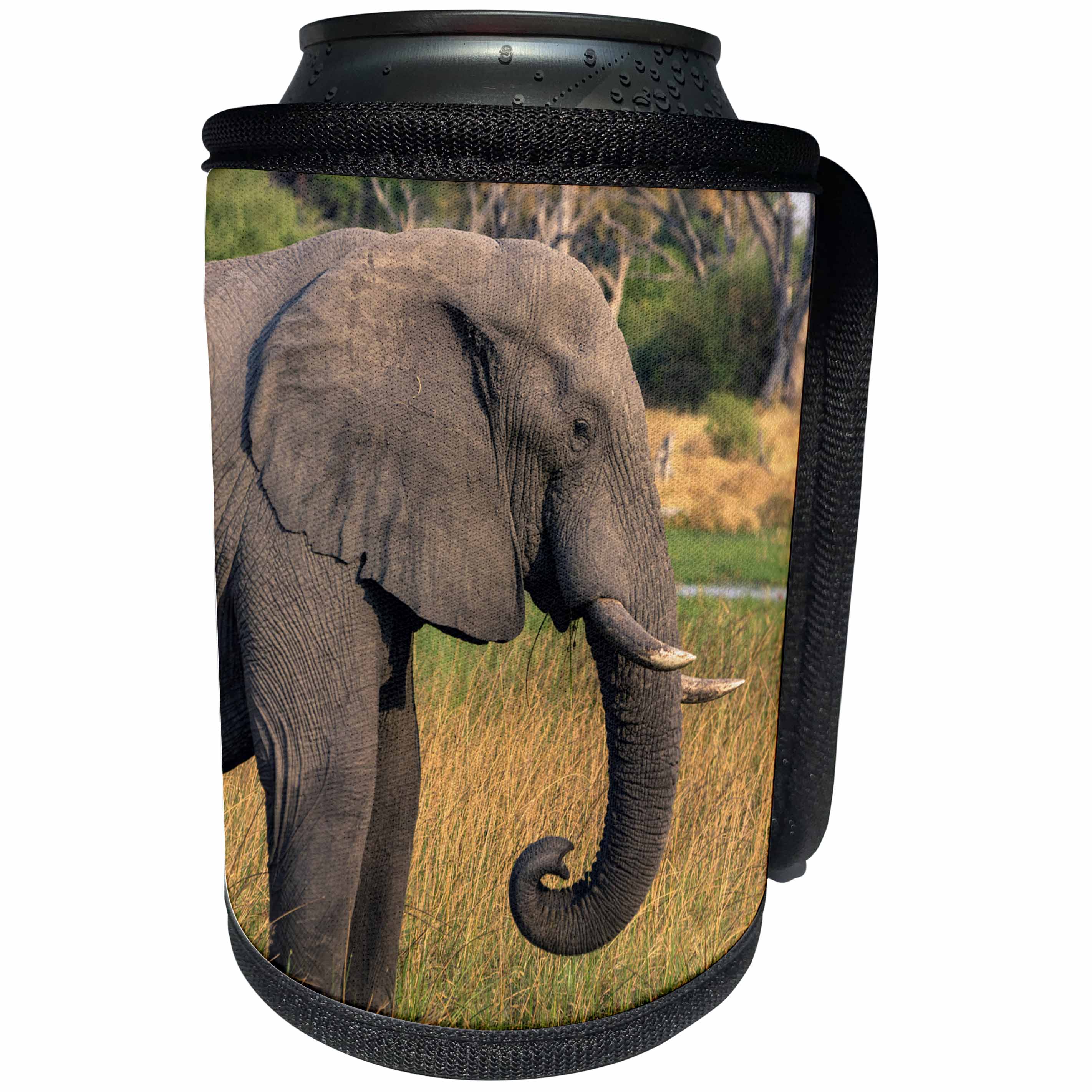 3dRose Danita Delimont - Elephants - Botswana. Okavango. Khwai Concession. Profile of Elephant grazing. - Can Cooler Bottle Wrap (cc_256867)