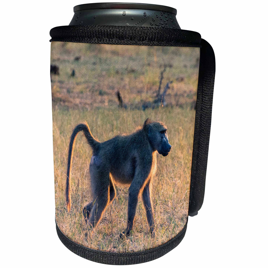 3dRose Danita Delimont - Primates - Botswana. Okavango Delta. Khwai Concession. Chacma baboon. - Can Cooler Bottle Wrap (cc_256869)