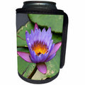 3dRose Danita Delimont - Flowers - Blue Yellow Water Lily Flowers and Pads, Close-up, Macro - Can Cooler Bottle Wrap (cc_257092)