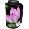 3dRose Danita Delimont - Flowers - Pink Lotus Blooming, Temple of the Sun, Beijing, China - Can Cooler Bottle Wrap (cc_257128)