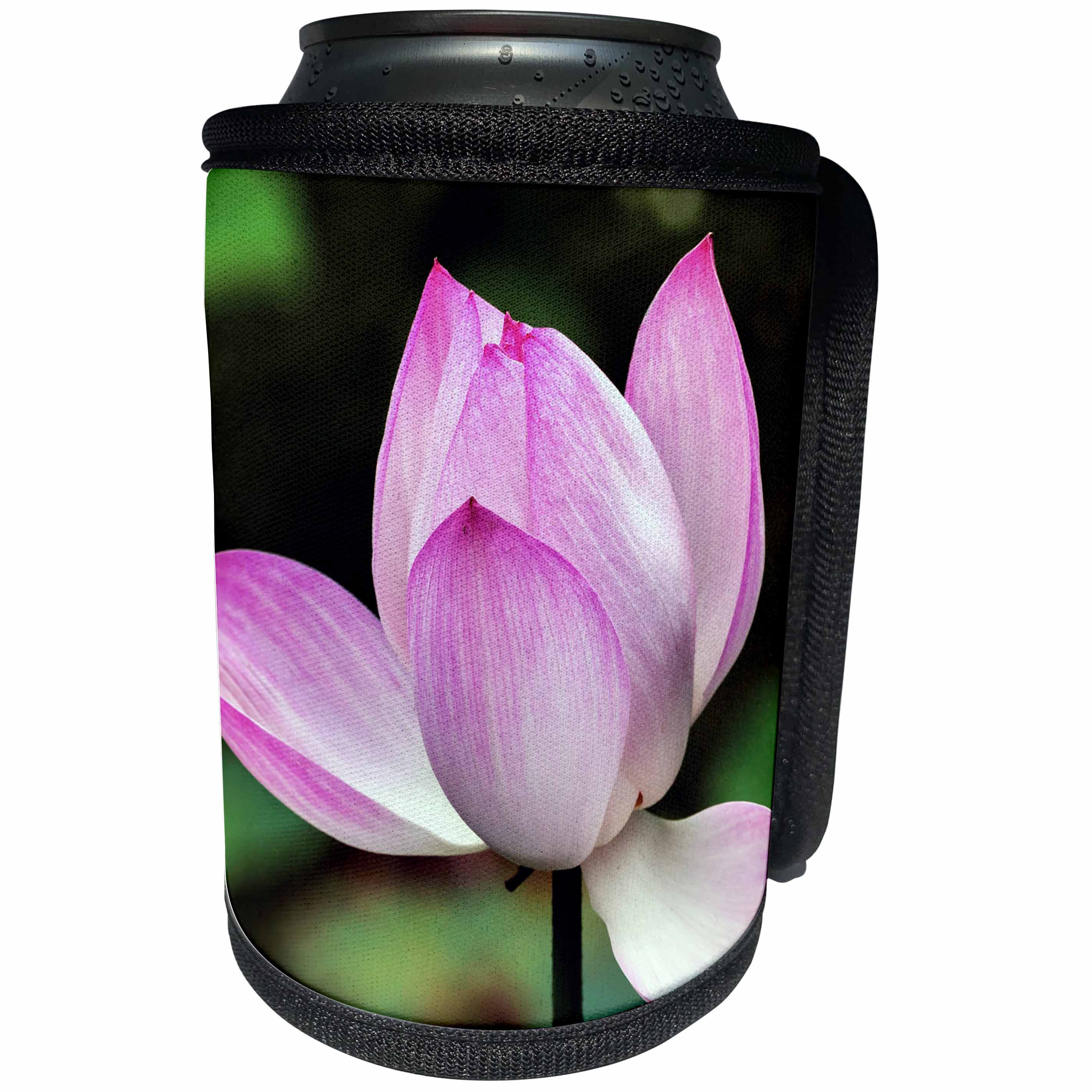 3dRose Danita Delimont - Flowers - Pink Lotus Blooming, Temple of the Sun, Beijing, China - Can Cooler Bottle Wrap (cc_257128)