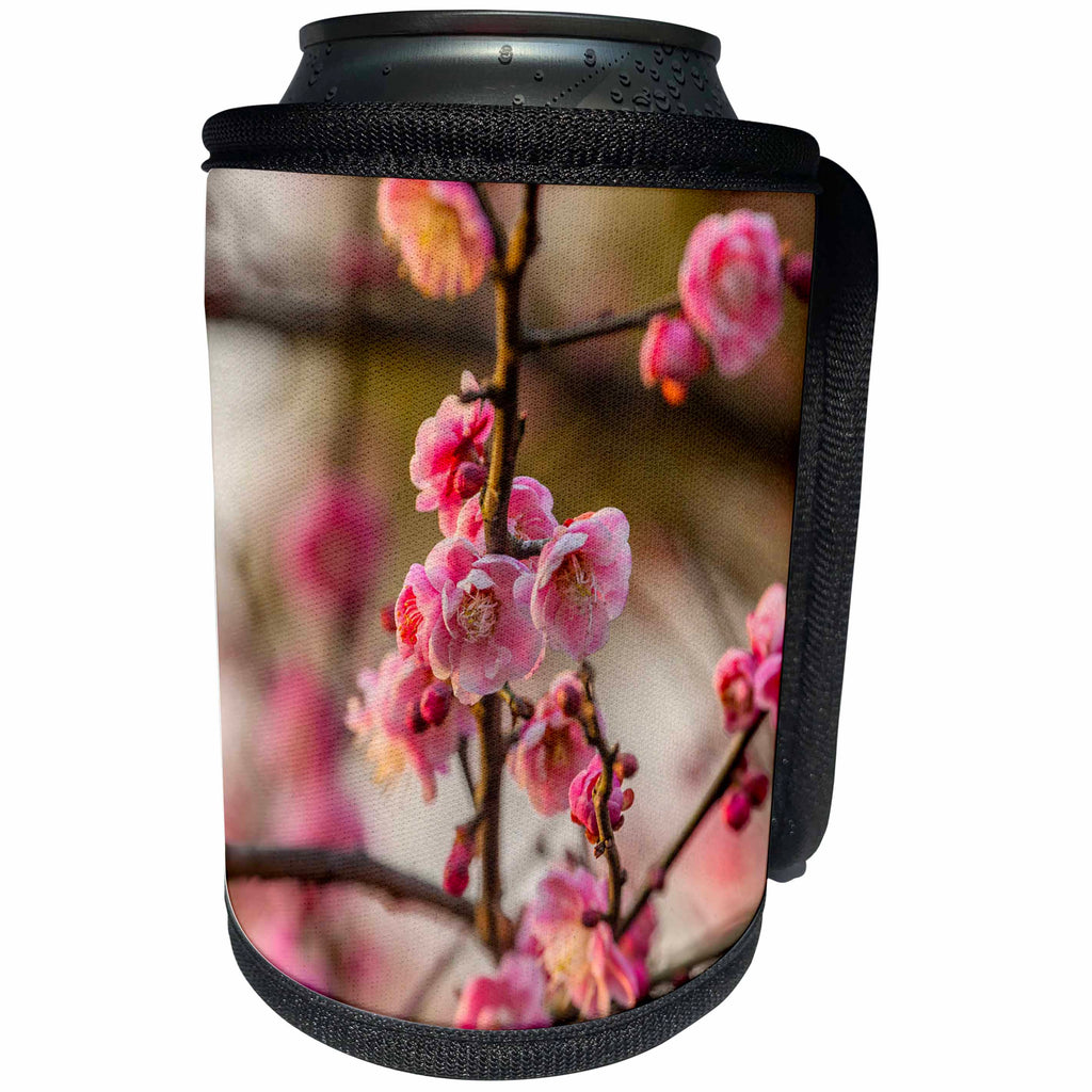 3dRose Danita Delimont - Flowers - Plum Blossoms, West Lake Jiangsu Province, China. - Can Cooler Bottle Wrap (cc_257160)