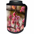 3dRose Danita Delimont - Flowers - Plum Blossoms, West Lake Jiangsu Province, China. - Can Cooler Bottle Wrap (cc_257160)