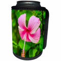3dRose Danita Delimont - Flowers - Hibiscus flower dips over green foliage, Ranthambore, Rajasthan, India - Can Cooler Bottle Wrap (cc_257185)