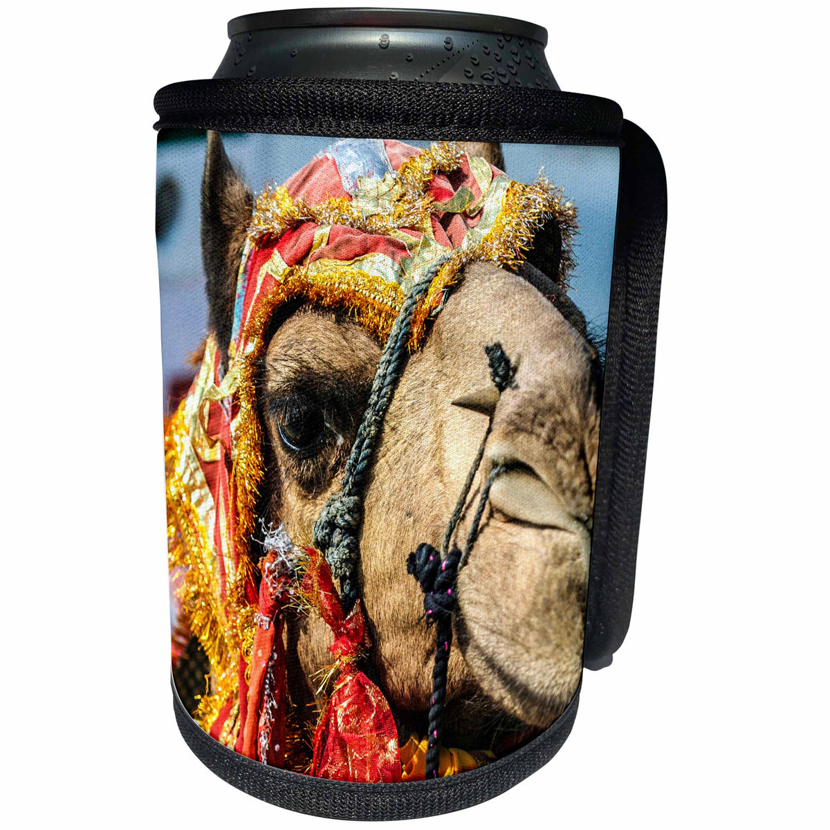 3dRose Danita Delimont - Camels - Decorated Camel, Diwali Festival of Lights, Udaipur, Rajasthan, India. - Can Cooler Bottle Wrap (cc_257189)