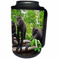 3dRose Danita Delimont - Primates - Indonesia, Sulawesi. Crested black macaque troop at rest in rainforest - Can Cooler Bottle Wrap (cc_257192)