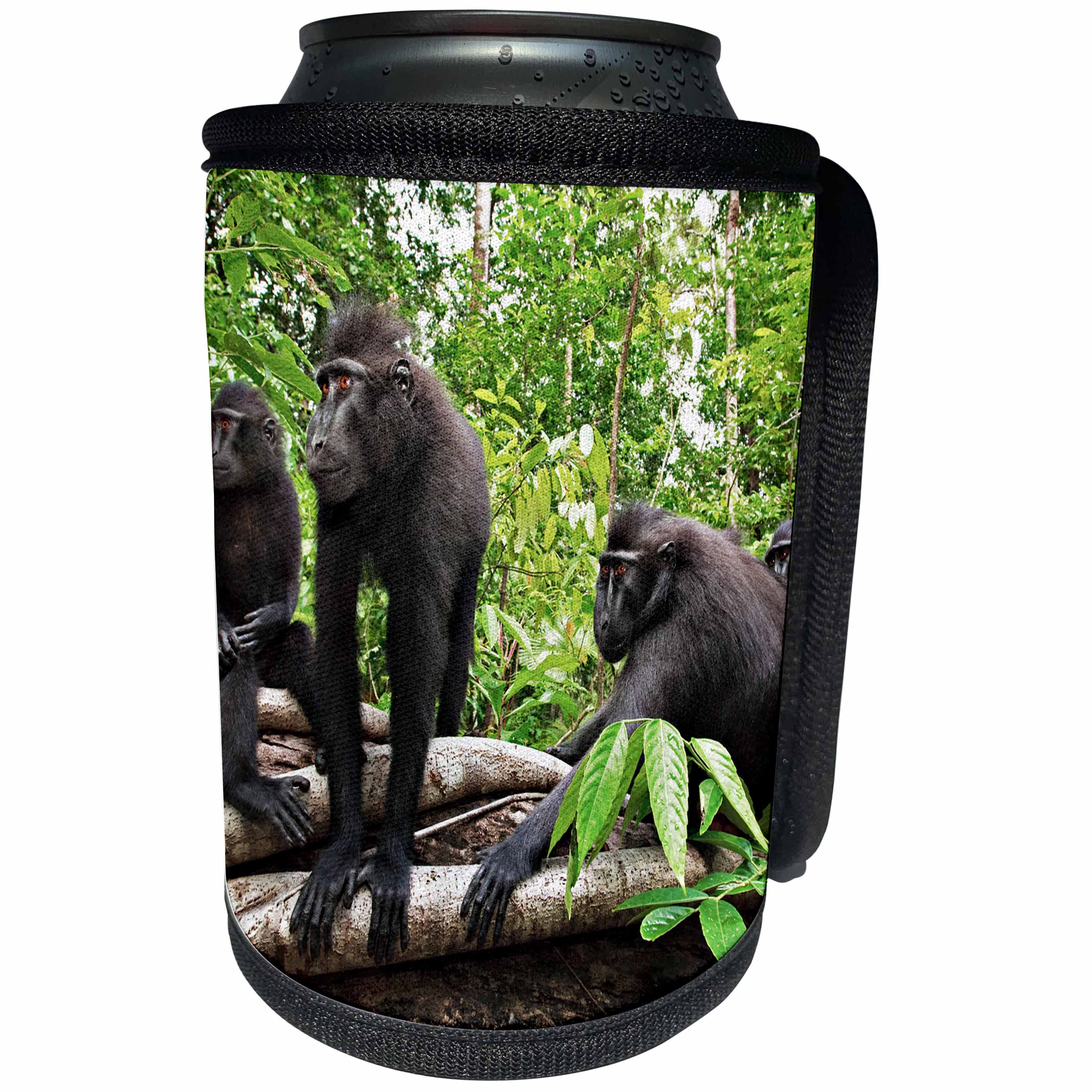 3dRose Danita Delimont - Primates - Indonesia, Sulawesi. Crested black macaque troop at rest in rainforest - Can Cooler Bottle Wrap (cc_257192)