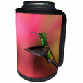 3dRose Danita Delimont - Hummingbirds - Copper-rumped Hummingbird - Can Cooler Bottle Wrap (cc_257413)