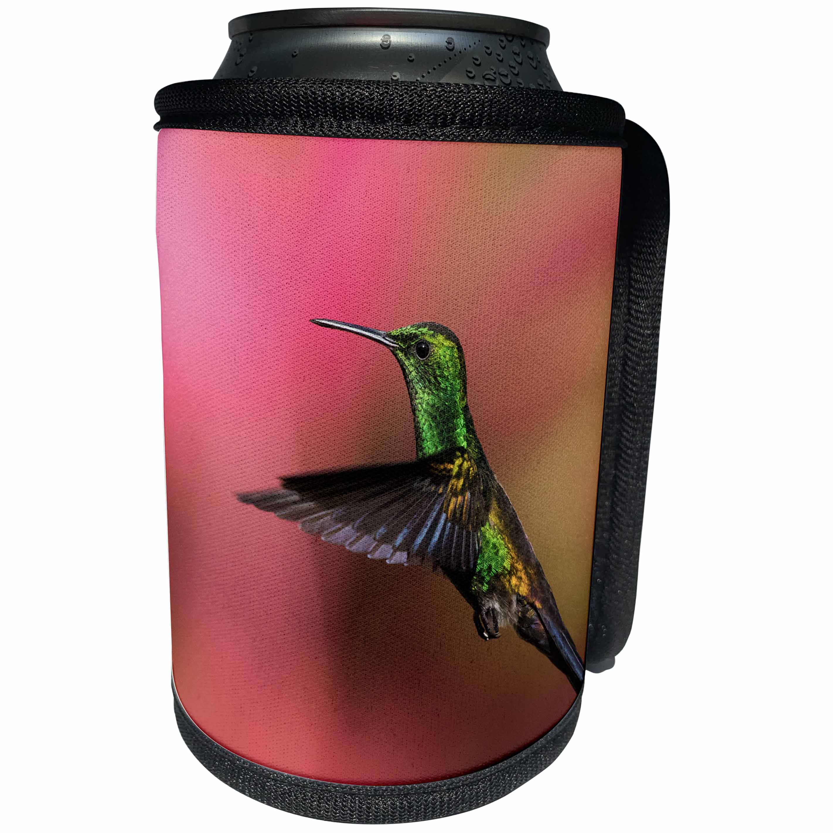 3dRose Danita Delimont - Hummingbirds - Copper-rumped Hummingbird - Can Cooler Bottle Wrap (cc_257413)