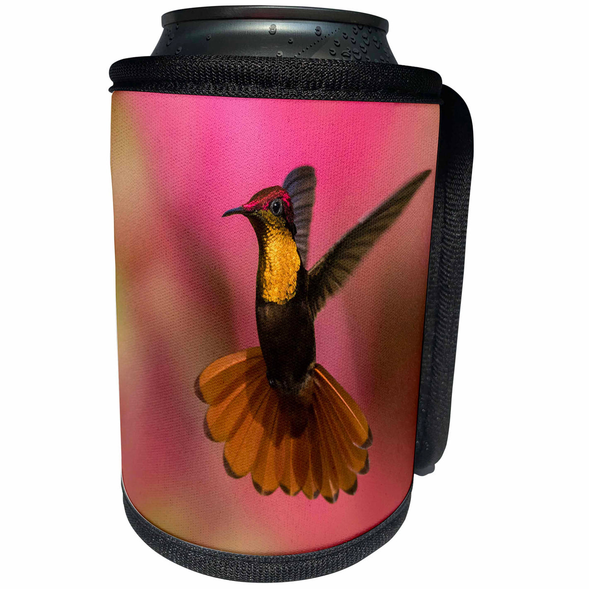 3dRose Danita Delimont - Hummingbirds - Ruby Topaz Hummingbird - Can Cooler Bottle Wrap (cc_257420)