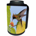 3dRose Danita Delimont - Hummingbirds - Tufted Crockette Hummingbird - Can Cooler Bottle Wrap (cc_257421)