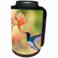 3dRose Danita Delimont - Hummingbirds - White-necked Jacobin flying - Can Cooler Bottle Wrap (cc_257427)