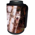 3dRose Danita Delimont - Wolves - Gray wolf in a forest - Can Cooler Bottle Wrap (cc_257433)