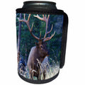 3dRose Danita Delimont - Elk - Rocky Mountain Bull Elk - Can Cooler Bottle Wrap (cc_257438)