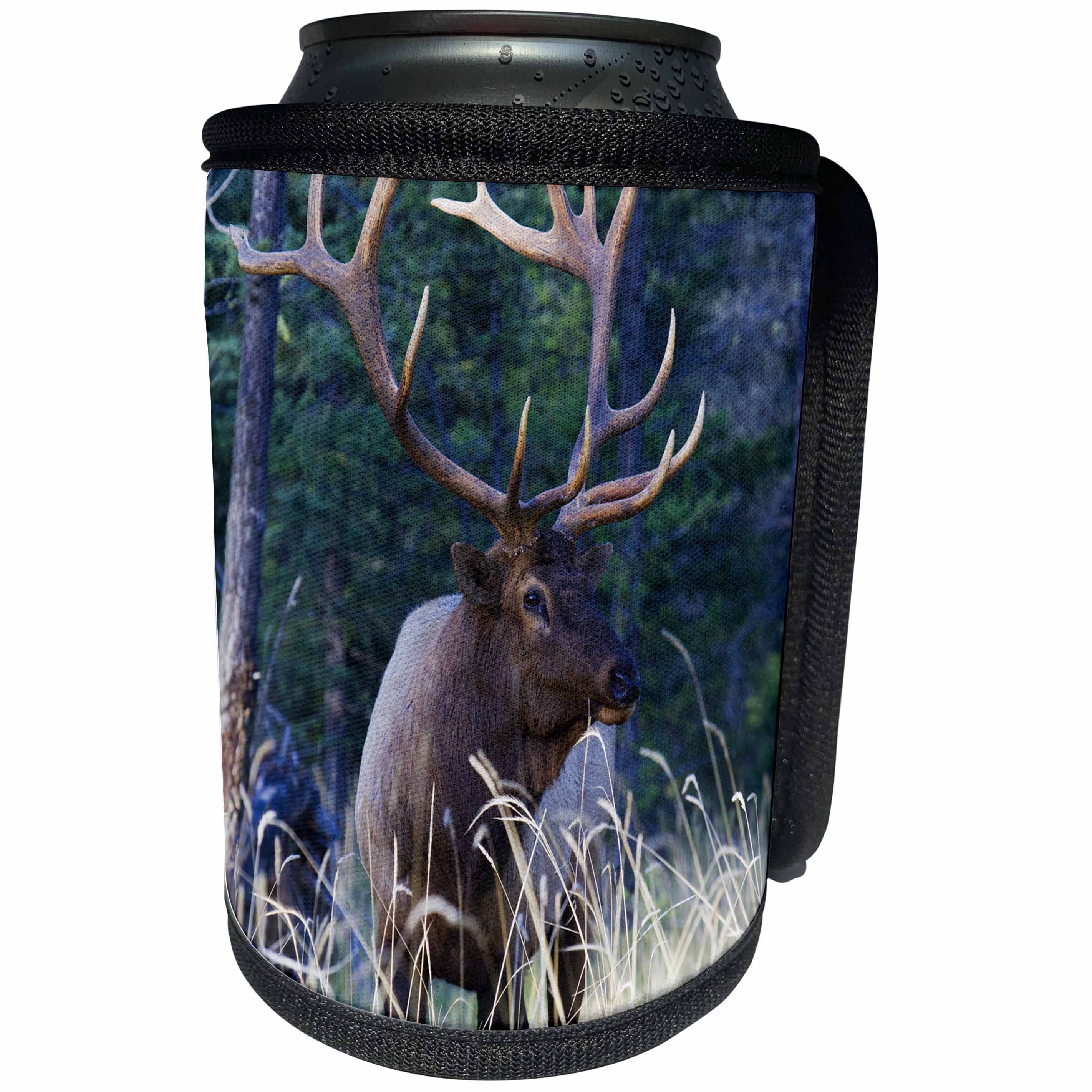 3dRose Danita Delimont - Elk - Rocky Mountain Bull Elk - Can Cooler Bottle Wrap (cc_257438)