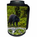 3dRose Danita Delimont - bears - Canada, B.C., Inside Passage. Black bear walking along Qua Creek. - Can Cooler Bottle Wrap (cc_257446)