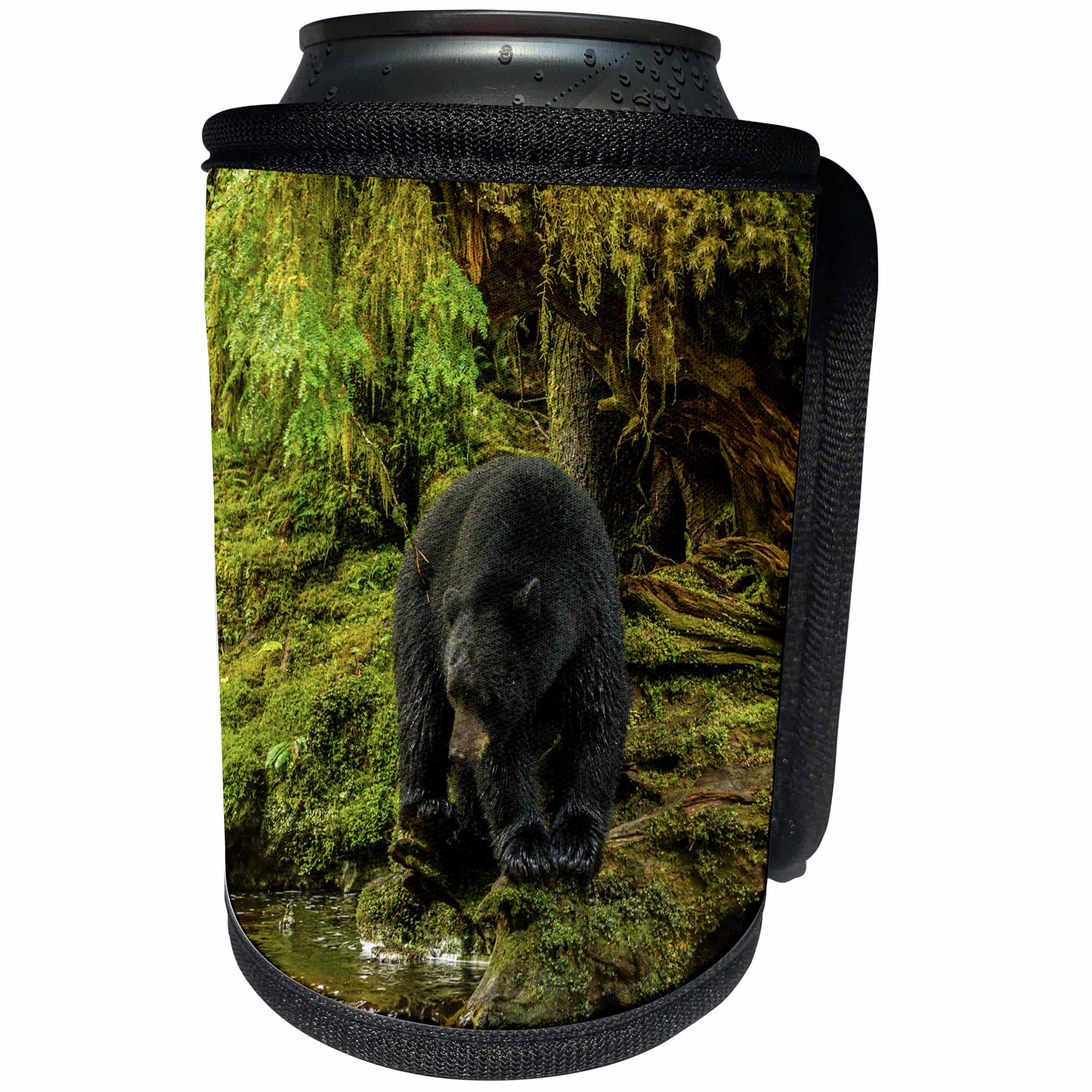 3dRose Danita Delimont - bears - Canada, B.C., Inside Passage. Black bear fishing on Qua Creek. - Can Cooler Bottle Wrap (cc_257447)