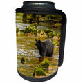 3dRose Danita Delimont - bears - Canada, Inside Passage. Black bear fishing for salmon on Qua Creek. - Can Cooler Bottle Wrap (cc_257450)
