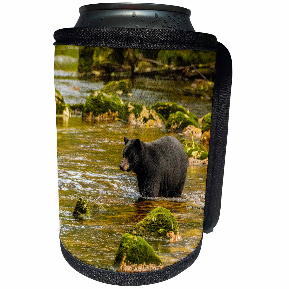 3dRose Danita Delimont - bears - Canada, Inside Passage. Black bear fishing for salmon on Qua Creek. - Can Cooler Bottle Wrap (cc_257450)