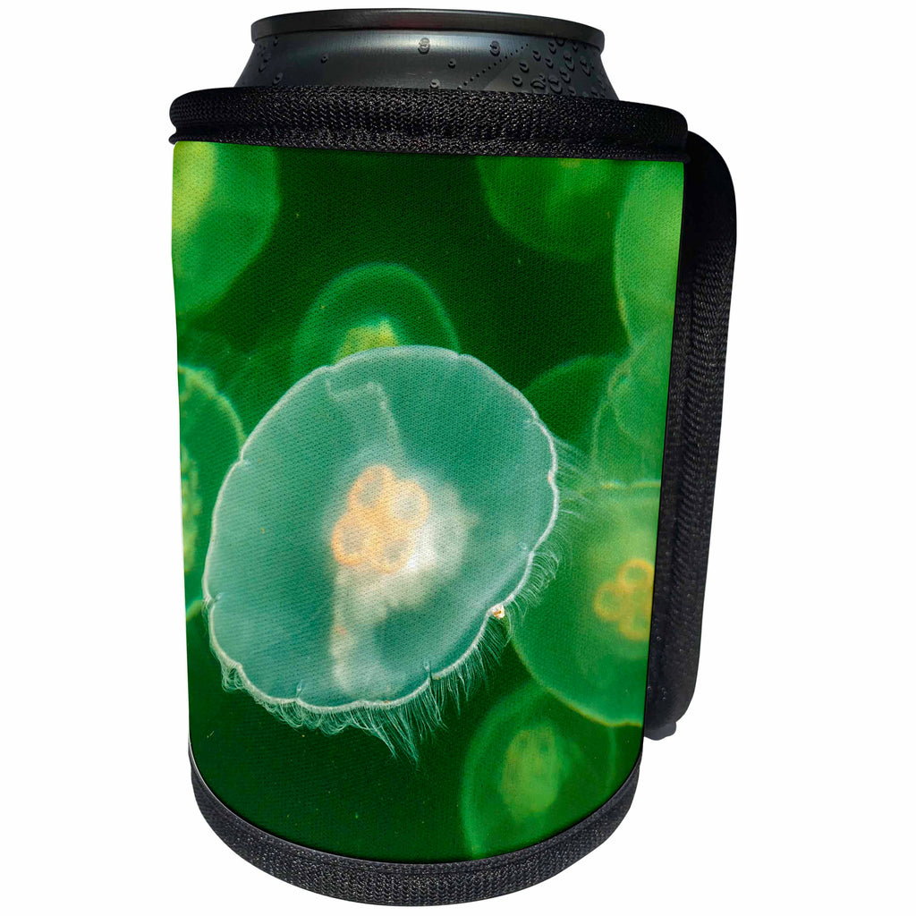 3dRose Danita Delimont - Marine Life - Canada, B.C., Inside Passage. Moon jellyfish. - Can Cooler Bottle Wrap (cc_257452)