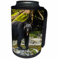 3dRose Danita Delimont - Bears - Canada, B.C., Inside Passage, Black bear with its tongue out. - Can Cooler Bottle Wrap (cc_257453)