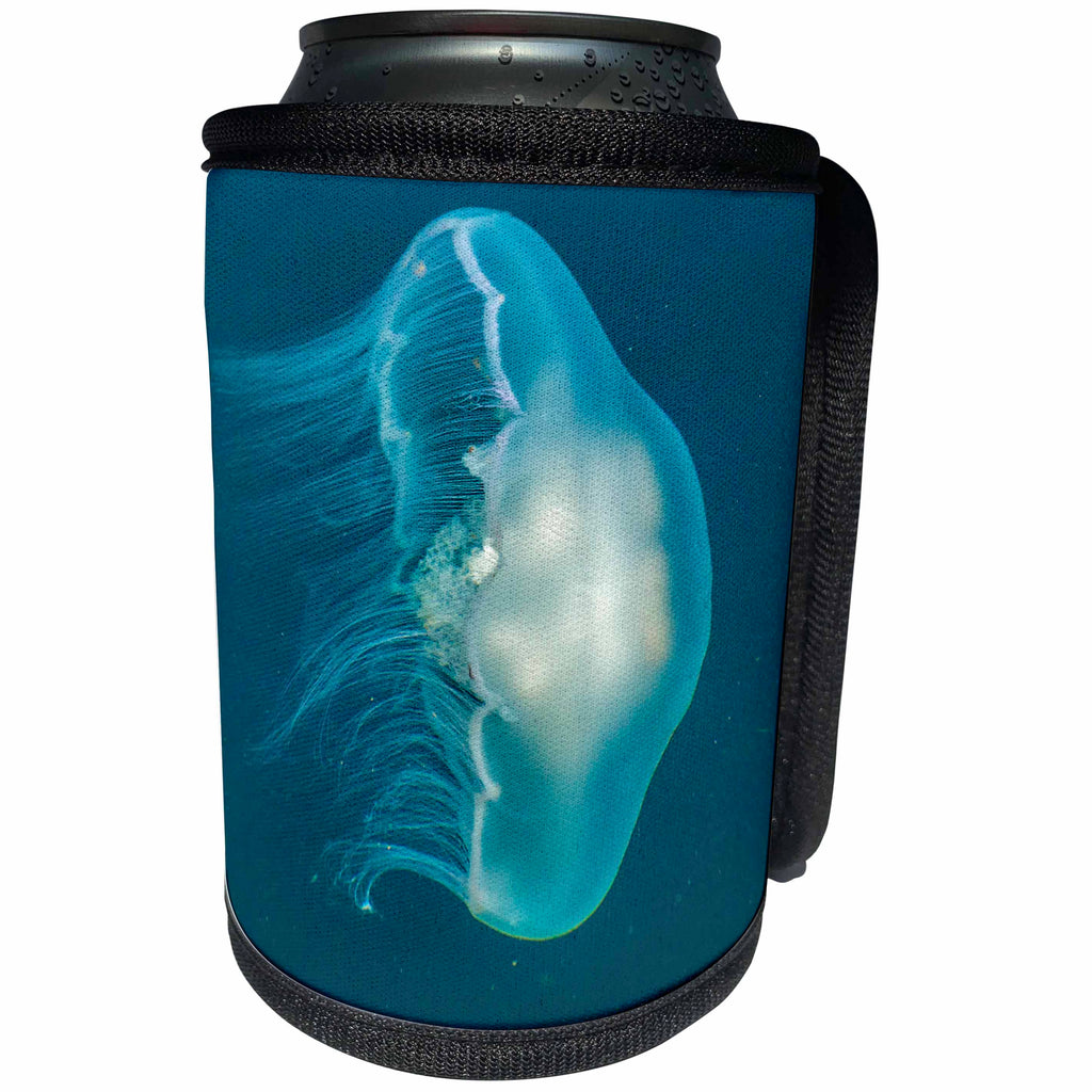 3dRose Danita Delimont - Marine Life - Canada, B.C., Inside Passage. Moon jellyfish swimming. - Can Cooler Bottle Wrap (cc_257456)