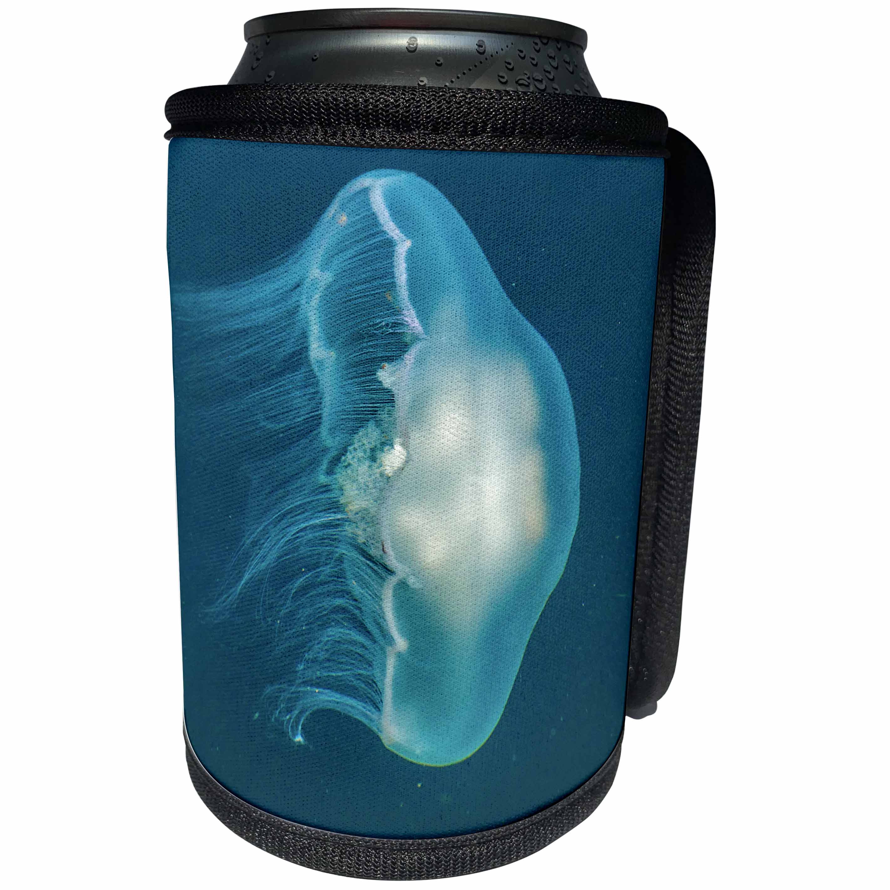 3dRose Danita Delimont - Marine Life - Canada, B.C., Inside Passage. Moon jellyfish swimming. - Can Cooler Bottle Wrap (cc_257456)