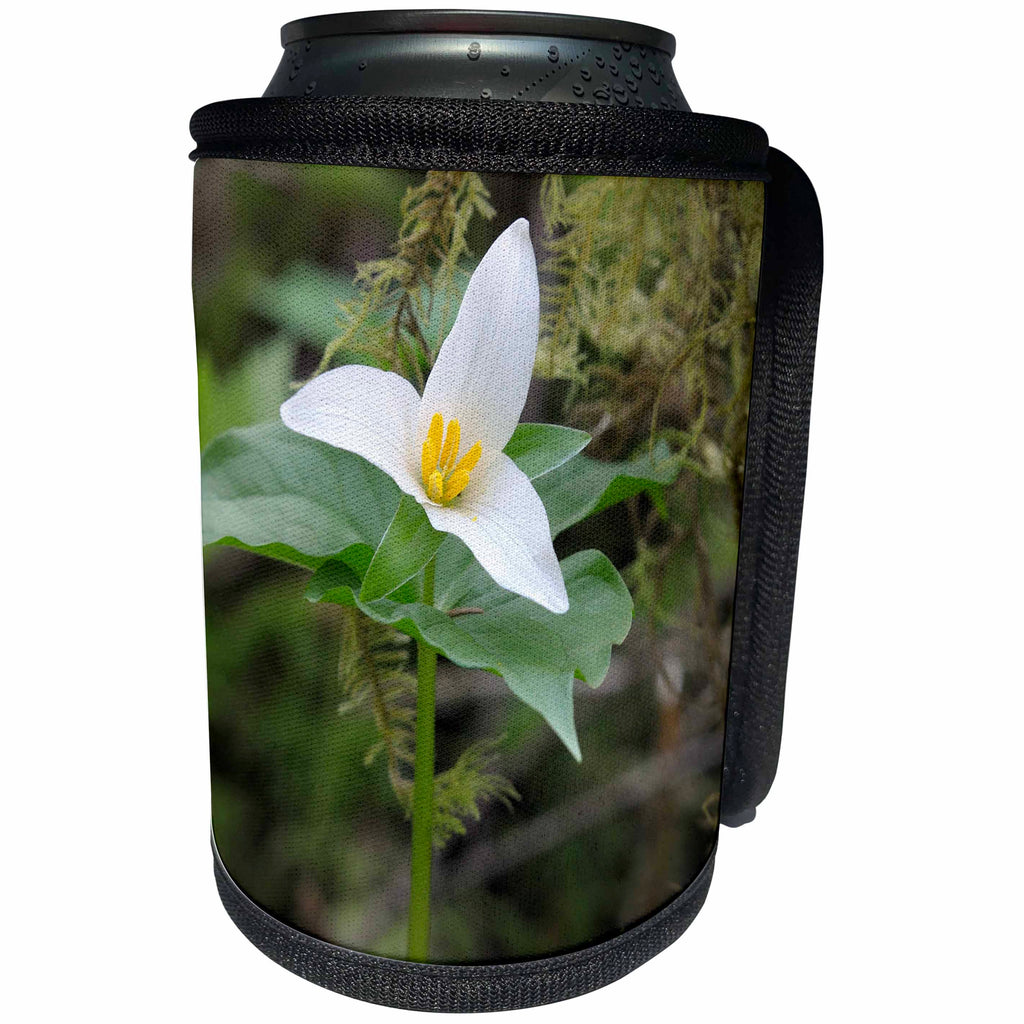 3dRose Danita Delimont - Flowers - Canada, British Columbia, Cowichan Valley. Western Trillium - Can Cooler Bottle Wrap (cc_257461)