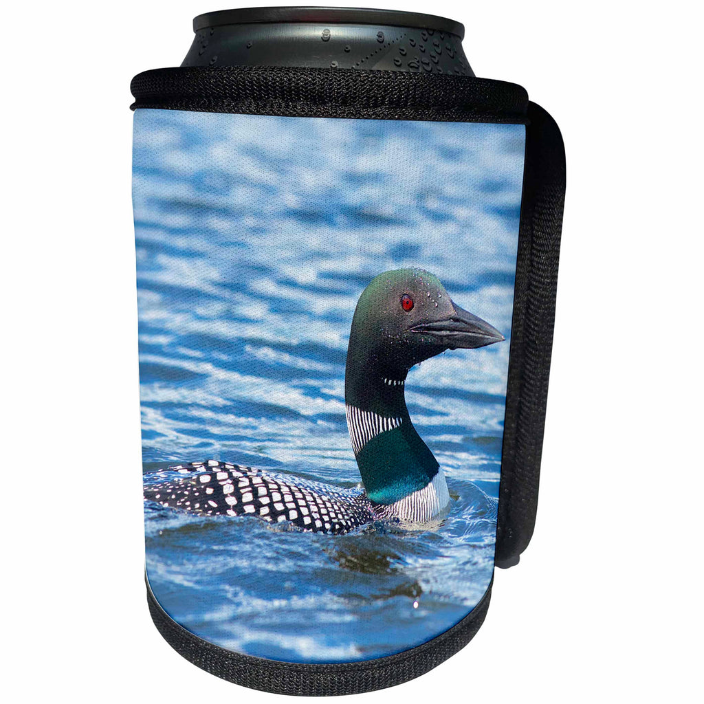 3dRose Danita Delimont - Birds - Common Loons swimming in a lake, British Columbia, Canada - Can Cooler Bottle Wrap (cc_257466)