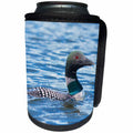 3dRose Danita Delimont - Birds - Common Loons swimming in a lake, British Columbia, Canada - Can Cooler Bottle Wrap (cc_257466)