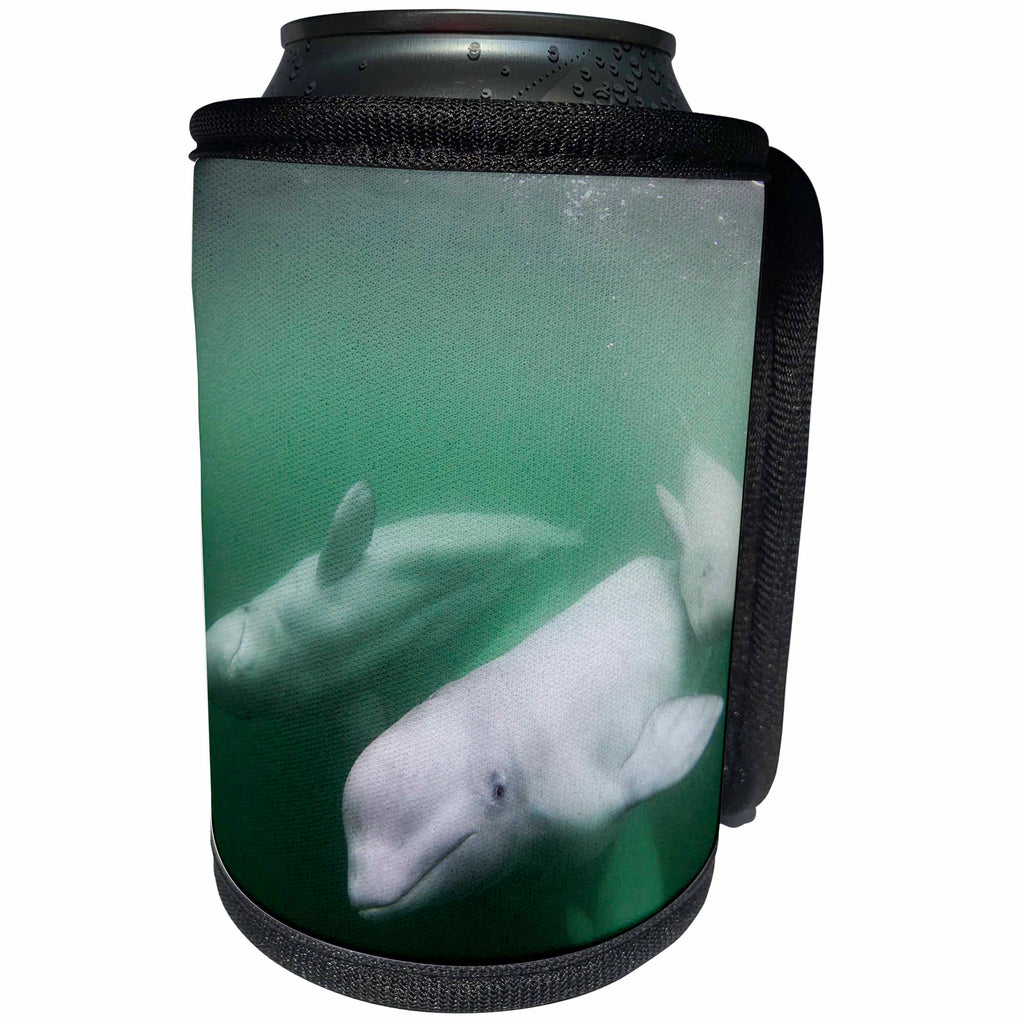 3dRose Danita Delimont - Whales - Canada, Manitoba, Churchill, Beluga Whale calf swimming with pod. - Can Cooler Bottle Wrap (cc_257505)