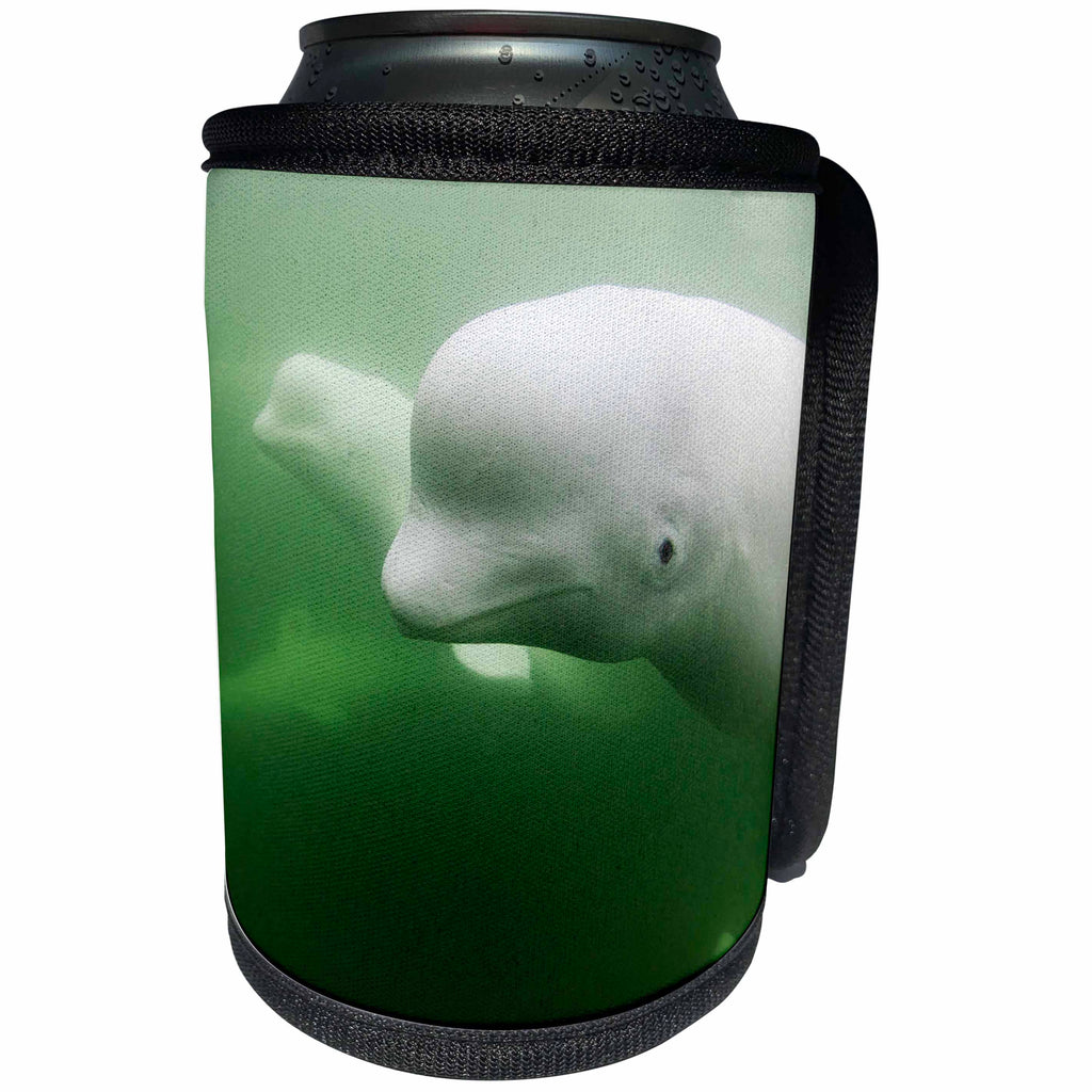 3dRose Danita Delimont - Whales - Canada, Manitoba, Churchill, Young Beluga Whale pod swimming. - Can Cooler Bottle Wrap (cc_257506)