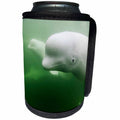 3dRose Danita Delimont - Whales - Canada, Manitoba, Churchill, Young Beluga Whale pod swimming. - Can Cooler Bottle Wrap (cc_257506)