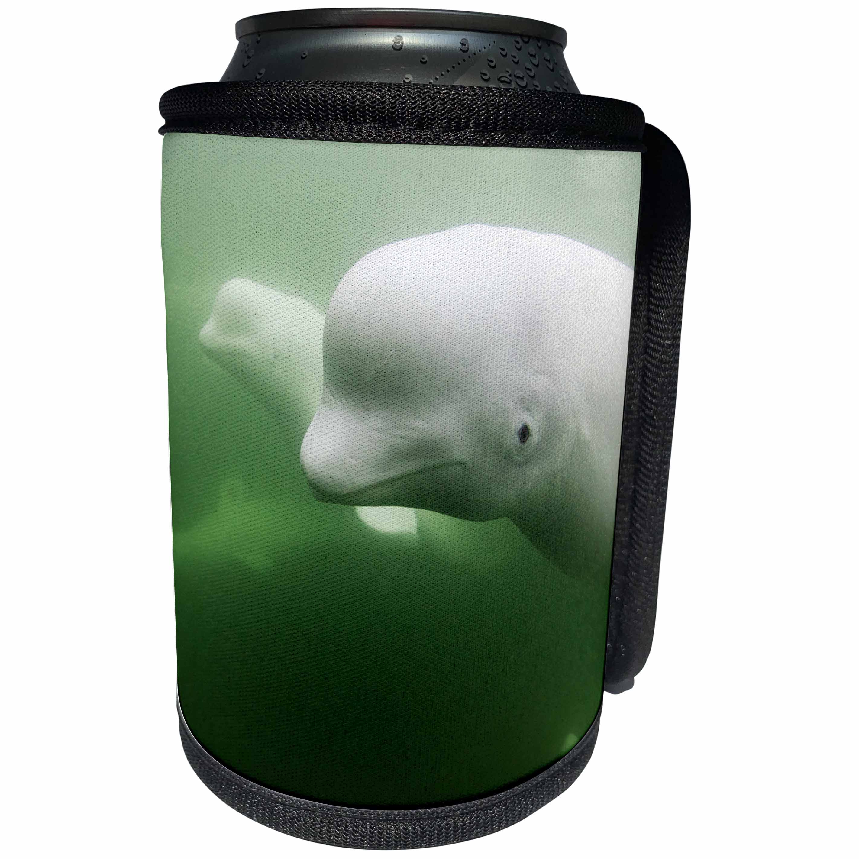 3dRose Danita Delimont - Whales - Canada, Manitoba, Churchill, Young Beluga Whale pod swimming. - Can Cooler Bottle Wrap (cc_257506)